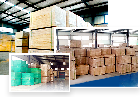 实力厂家的放心选择