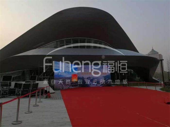 西红门体育公园3000平米体育馆