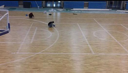 篮球运动木地板