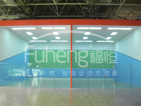 中国残奥中心壁球馆工程