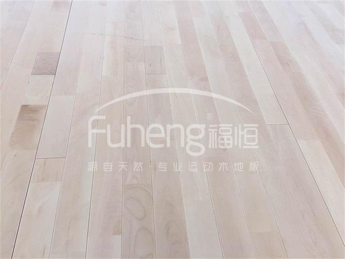 西红门体育公园3000平米体育馆