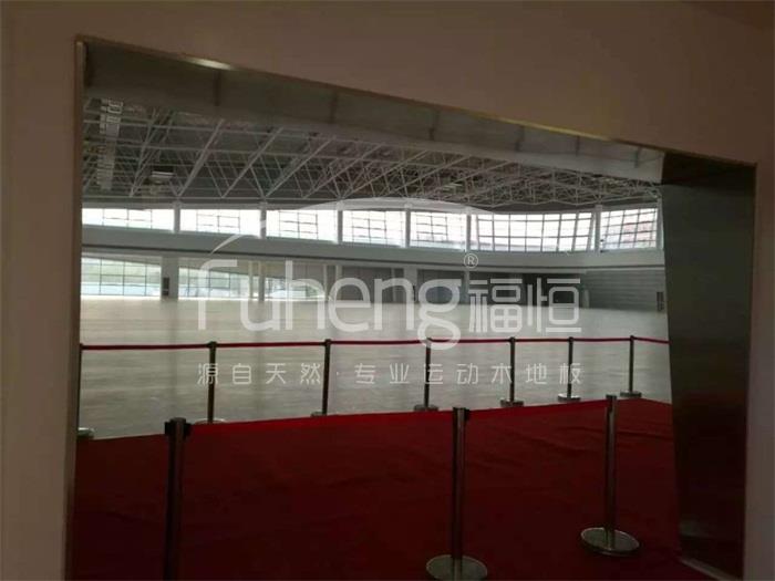 西红门体育公园3000平米体育馆